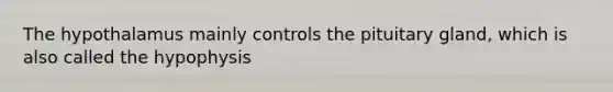 The hypothalamus mainly controls the pituitary gland, which is also called the hypophysis