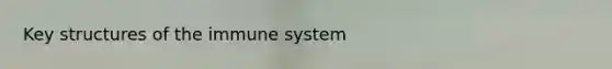 Key structures of the immune system