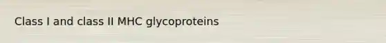 Class I and class II MHC glycoproteins