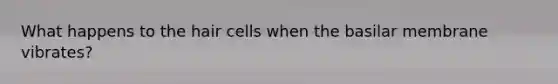 What happens to the hair cells when the basilar membrane vibrates?