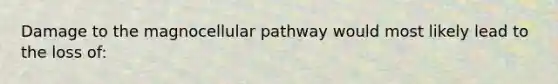 Damage to the magnocellular pathway would most likely lead to the loss of: