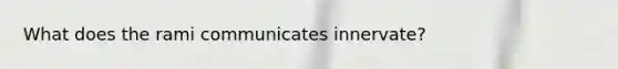 What does the rami communicates innervate?