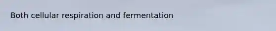 Both <a href='https://www.questionai.com/knowledge/k1IqNYBAJw-cellular-respiration' class='anchor-knowledge'>cellular respiration</a> and fermentation