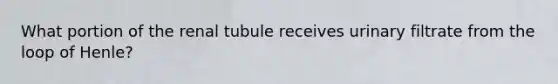 What portion of the renal tubule receives urinary filtrate from the loop of Henle?