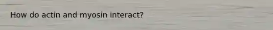 How do actin and myosin interact?