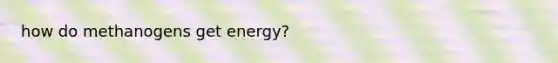 how do methanogens get energy?