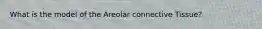 What is the model of the Areolar connective Tissue?