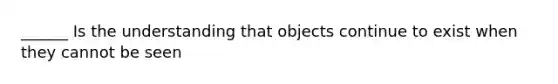 ______ Is the understanding that objects continue to exist when they cannot be seen