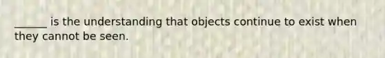 ______ is the understanding that objects continue to exist when they cannot be seen.