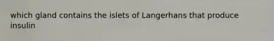 which gland contains the islets of Langerhans that produce insulin