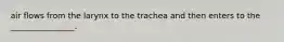 air flows from the larynx to the trachea and then enters to the ________________.