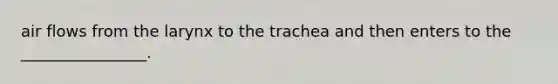 air flows from the larynx to the trachea and then enters to the ________________.