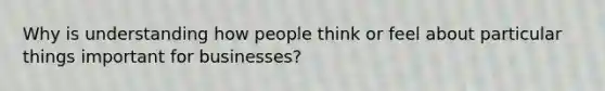 Why is understanding how people think or feel about particular things important for businesses?