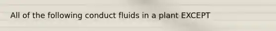 All of the following conduct fluids in a plant EXCEPT