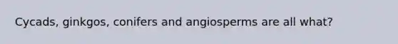 Cycads, ginkgos, conifers and angiosperms are all what?