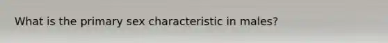 What is the primary sex characteristic in males?