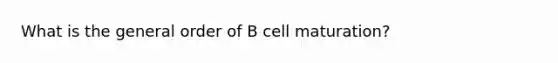 What is the general order of B cell maturation?