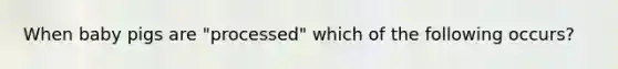 When baby pigs are "processed" which of the following occurs?