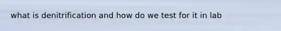 what is denitrification and how do we test for it in lab