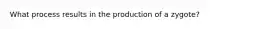 What process results in the production of a zygote?