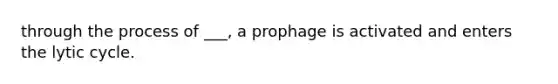 through the process of ___, a prophage is activated and enters the lytic cycle.