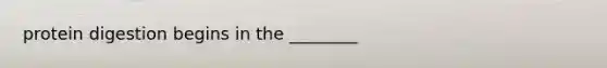protein digestion begins in the ________