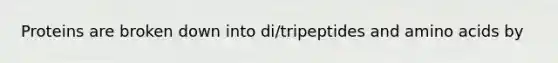 Proteins are broken down into di/tripeptides and <a href='https://www.questionai.com/knowledge/k9gb720LCl-amino-acids' class='anchor-knowledge'>amino acids</a> by