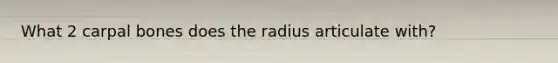 What 2 carpal bones does the radius articulate with?