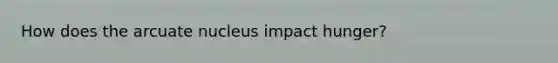 How does the arcuate nucleus impact hunger?