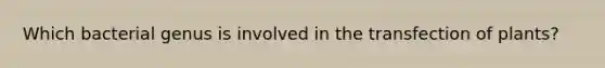 Which bacterial genus is involved in the transfection of plants?