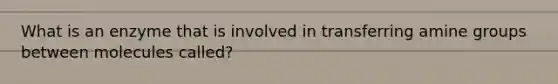 What is an enzyme that is involved in transferring amine groups between molecules called?