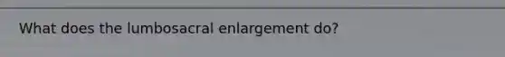 What does the lumbosacral enlargement do?