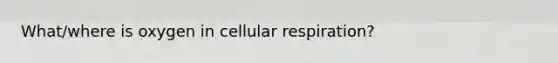 What/where is oxygen in <a href='https://www.questionai.com/knowledge/k1IqNYBAJw-cellular-respiration' class='anchor-knowledge'>cellular respiration</a>?