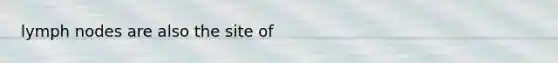 lymph nodes are also the site of