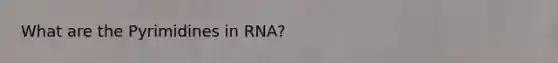 What are the Pyrimidines in RNA?