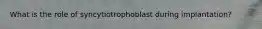What is the role of syncytiotrophoblast during implantation?
