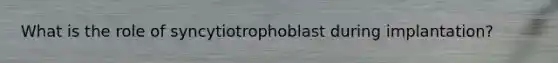 What is the role of syncytiotrophoblast during implantation?