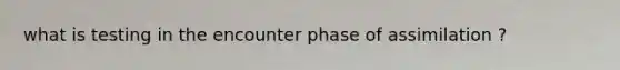 what is testing in the encounter phase of assimilation ?