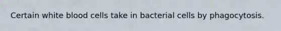 Certain white blood cells take in bacterial cells by phagocytosis.