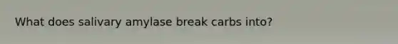 What does salivary amylase break carbs into?