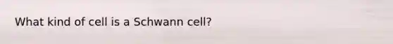 What kind of cell is a Schwann cell?