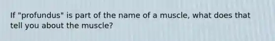 If "profundus" is part of the name of a muscle, what does that tell you about the muscle?