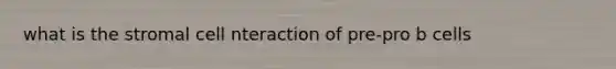 what is the stromal cell nteraction of pre-pro b cells