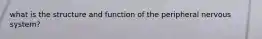 what is the structure and function of the peripheral nervous system?