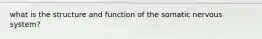 what is the structure and function of the somatic nervous system?