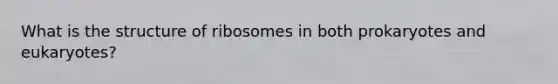 What is the structure of ribosomes in both prokaryotes and eukaryotes?