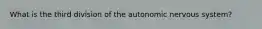 What is the third division of the autonomic nervous system?