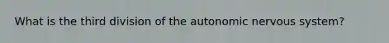 What is the third division of <a href='https://www.questionai.com/knowledge/kMqcwgxBsH-the-autonomic-nervous-system' class='anchor-knowledge'>the autonomic <a href='https://www.questionai.com/knowledge/kThdVqrsqy-nervous-system' class='anchor-knowledge'>nervous system</a></a>?