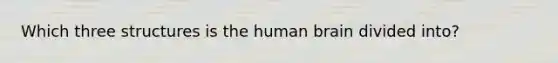 Which three structures is the human brain divided into?