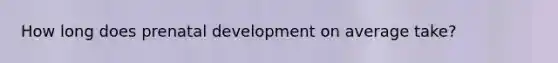 How long does <a href='https://www.questionai.com/knowledge/kMumvNdQFH-prenatal-development' class='anchor-knowledge'>prenatal development</a> on average take?